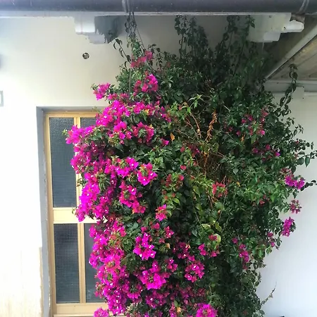 Villetta Adriana Appartamento